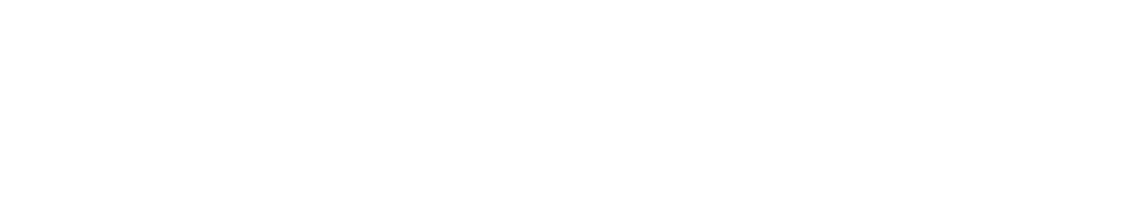 NOWDigi